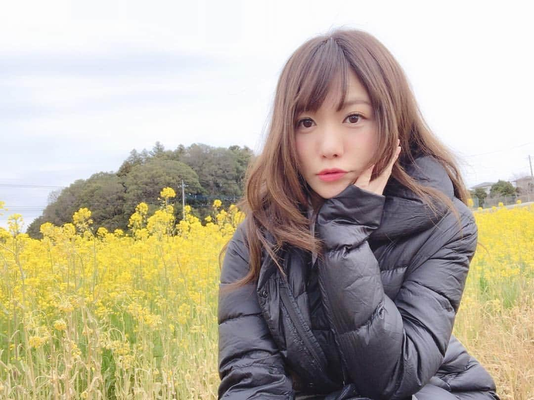 藤崎里菜さんのインスタグラム写真 - (藤崎里菜Instagram)「撮影で菜の花畑に行ったよ  #菜の花畑 #菜の花 #撮影 #グラビア #グラビア撮影 #gravure #黄色でいっぱい #黄色 #yello」4月12日 21時02分 - rina_fujisaki