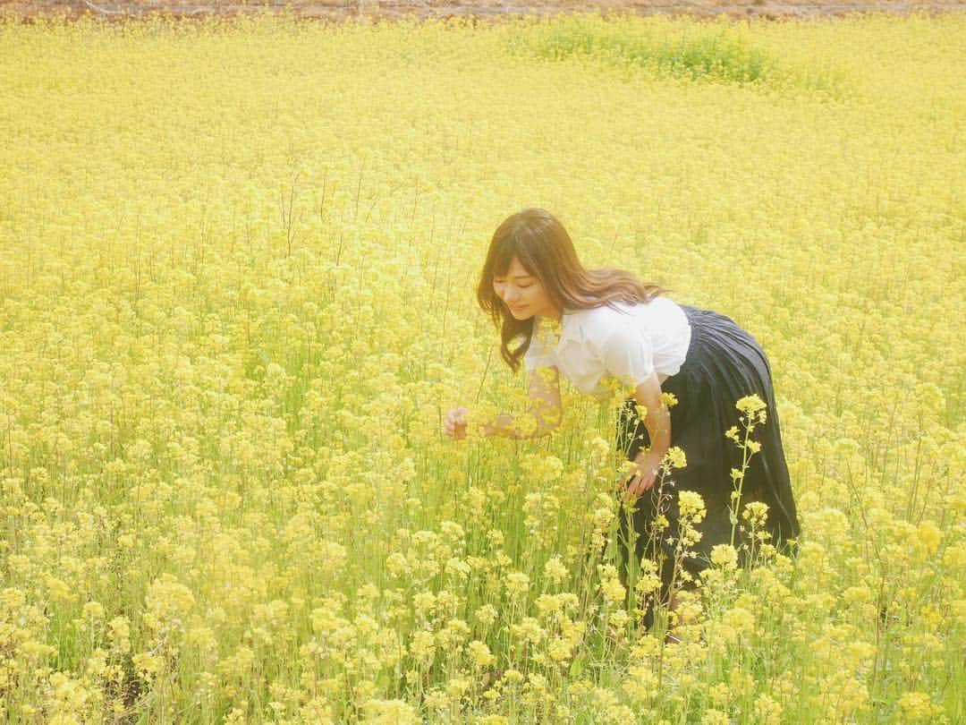 藤崎里菜さんのインスタグラム写真 - (藤崎里菜Instagram)「撮影で菜の花畑に行ったよ  #菜の花畑 #菜の花 #撮影 #グラビア #グラビア撮影 #gravure #黄色でいっぱい #黄色 #yello」4月12日 21時02分 - rina_fujisaki