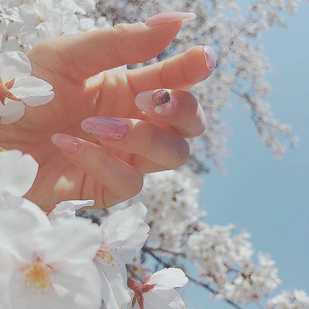 藤澤友千菜さんのインスタグラム写真 - (藤澤友千菜Instagram)「#桜ネイル 🌸🌸🌸 ( v^-ﾟ)Thanks♪ @zun615  いつも可愛いネイル❁⃘*.ﾟ ありがとう(˘❥˘)♡♡ #nicolenail  めちゃ細かいんだよ！何重にも桜の絵を重ねて描いてくれてる🥺💓 #nail #spring  #instagood #followme #cherryblossom」4月12日 21時02分 - yuchina1207