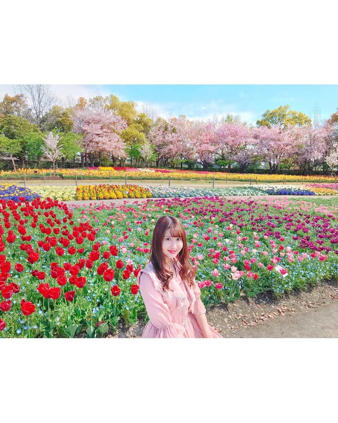 沢井里奈さんのインスタグラム写真 - (沢井里奈Instagram)「♡ . なばなの里👒🌼💕💕 . 13,000坪の敷地に広がる チューリップ畑🌷✨ 色んな色や種類があって とっても綺麗でした☺️💓💓 . チューリップと桜のコラボレーションが 絵画のようで美しすぎました🌷🌸 . 色んなお花畑行きたいな🥺❤️ . . #さわーコーデ 👗💝 onepiece♡ #lerevevaniller . #tulip #cherryblossom #nagashima #japan #ootd #coordinate #fashion #outing #travel #instatravel #instagood #instagramjapan #japanesegirl #girls #なばなの里 #チューリップ畑 #チューリップ #桜 #さくら #三重県 #長島 #さわーおでかけ」4月12日 20時57分 - sawairina
