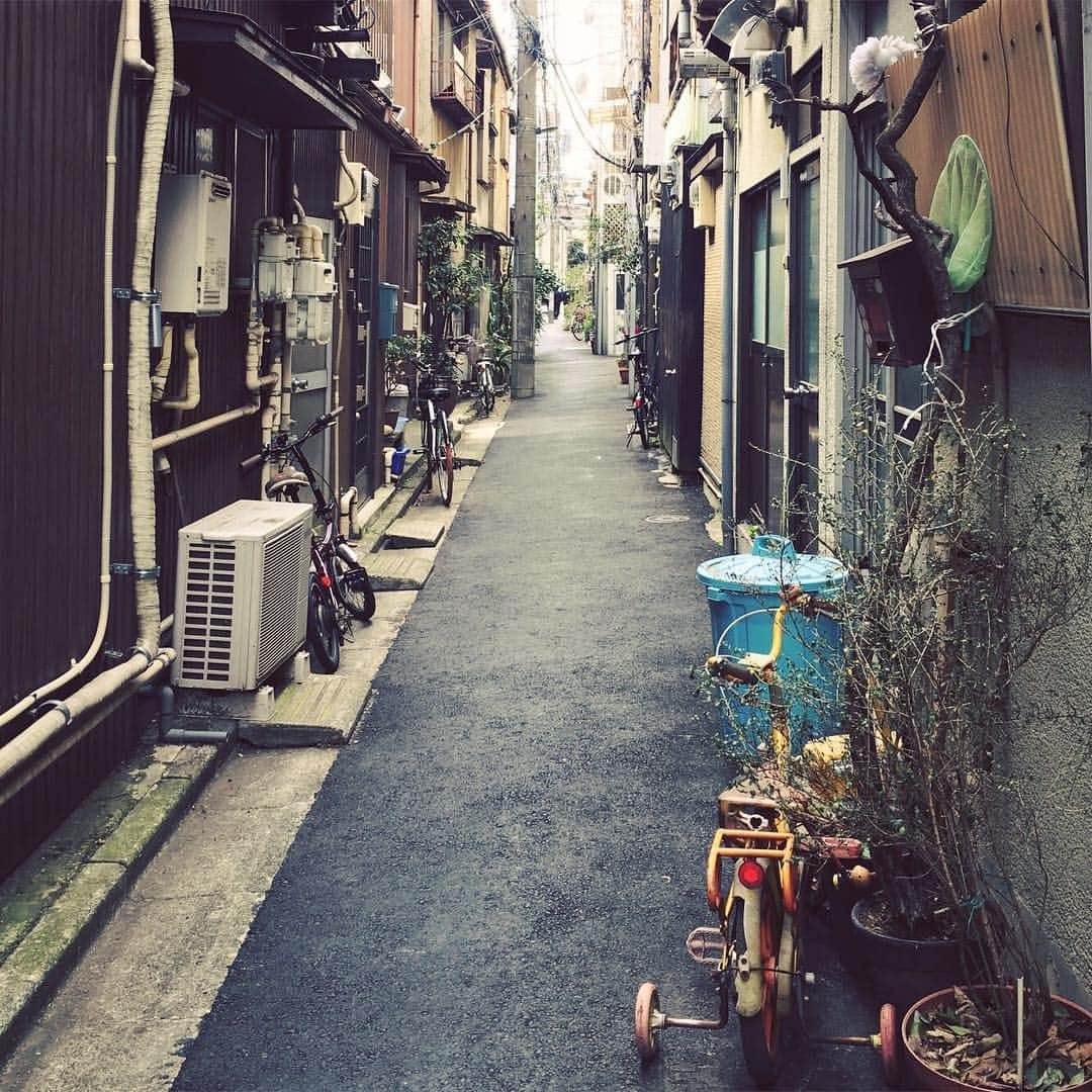 散歩の達人さんのインスタグラム写真 - (散歩の達人Instagram)「千駄木に魅惑の路地。 An alley in Sendagi（千駄木）. #hello #路地 #千駄木 #東京 #sendagi #tokyo #散歩の達人」4月12日 21時07分 - san_tatsu