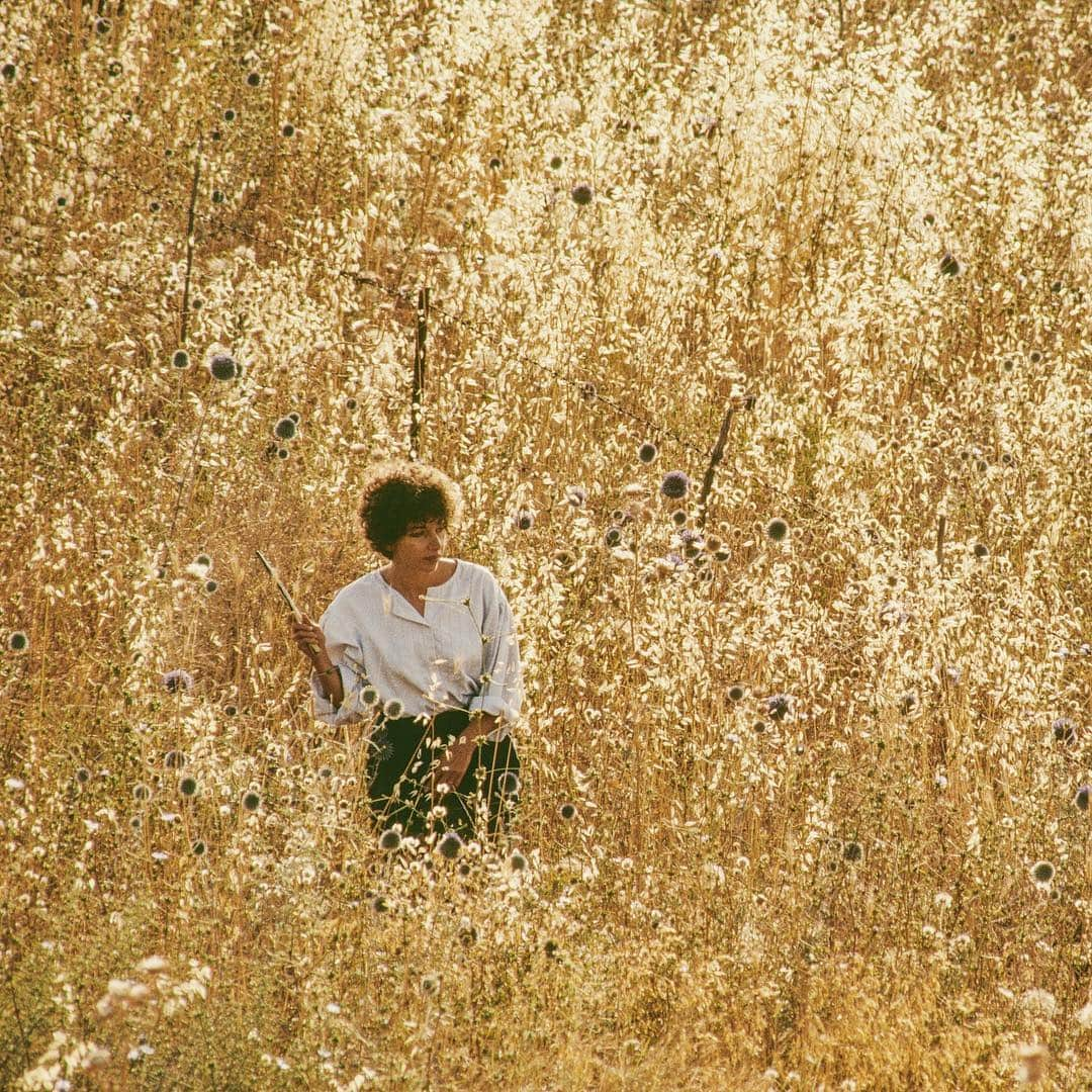 thephotosocietyさんのインスタグラム写真 - (thephotosocietyInstagram)「Photo by @irablockphoto - I am always looking for light and color when I am on assignment. Here I was photographing an archaeologist who was cutting grains with a stone tool so she could compare the microscopic markings to Neolithic cutting tools found at a site in Israel. The markings would help identify the type of food being eaten by an ancient civilization. To make the image more interesting I waited for this interesting backlighting. #light #archaeology #neolithic #tools #farming」4月12日 21時17分 - thephotosociety