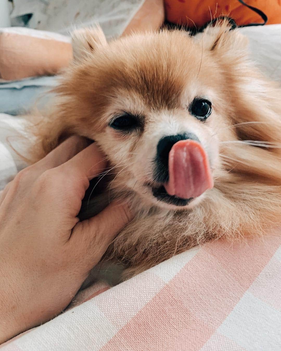 r_oseのインスタグラム：「Perfect timing 🦁〰️」