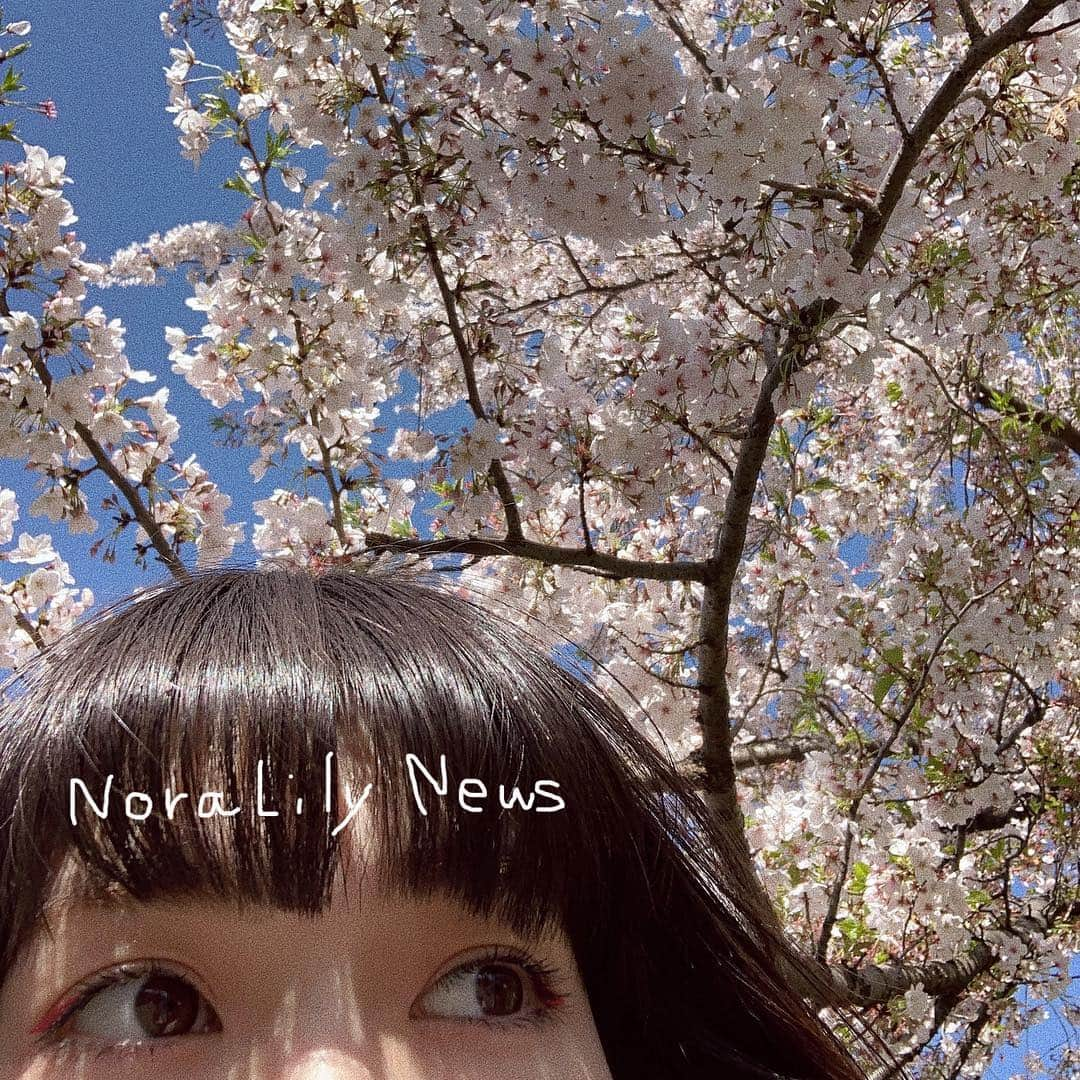 うちだゆうほさんのインスタグラム写真 - (うちだゆうほInstagram)「Nora  Lily News﻿﻿ ﻿ 今日からですよ〜🌸﻿ ﻿﻿ Nora  Lily POP UP SHOP﻿﻿ ﻿﻿ ☑︎4/12〜4/25﻿﻿ ☑︎ラフォーレ原宿 2F CONTAINER﻿﻿ ☑︎11:00〜21:00 (最終日 25日は19:00まで)﻿﻿ ﻿﻿ ディレクター 内田ゆうほ 来店イベント﻿﻿ ☑︎4/20(土) 4/21(日) 12:00〜18:00﻿﻿ ☑︎期間中に先行発売の “Cage Cat BIG Hoody” をお買い上げ、もしくは税込10,800円以上お買い上げのお客様は“ディレクター内田ゆうほとのチェキ撮影”にご参加頂けます。﻿﻿﻿ ﻿﻿ ※事前にお買い上げのお客様も、お買い上げ時のレシート持参でご参加頂けます。﻿﻿﻿ ※人数に限りがございます。予定人数に達した時点で終了させていただきます。﻿﻿﻿ ※詳しくは売り場スタッフまでお尋ねください。﻿﻿﻿ ﻿﻿﻿ ☑︎期間中、税込10,800円以上お買い上げのお客様にノベルティのトートバッグプレゼントさせていただきます。﻿﻿﻿ ※数に限りがございます。無くなり次第終了となります。﻿」4月12日 21時36分 - uchidayuho