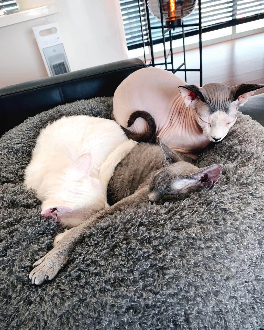 BamBam のインスタグラム