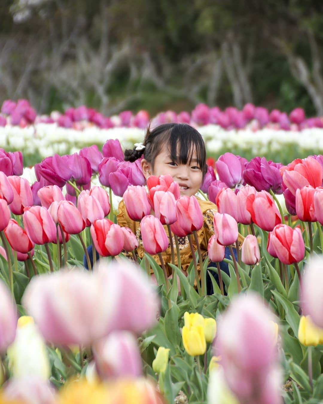 愛知県田原市さんのインスタグラム写真 - (愛知県田原市Instagram)「You are the only one. 世界に一つだけの花 *  #きれいな花に囲まれて #映え写真ならまかせて #かわいい写真とれます #春 #チューリップ #サンテパルクたはら ** #たはら暮らし * #渥美半島#田原市#田原#伊良湖岬#伊良湖#赤羽根 #tahara#irago#akabane #サーフィン#surfing#田舎暮らし#日々の暮らし#休日の過ごし方#スローライフ#instagramjaran#igersjp」4月12日 12時57分 - tahara_kurashi