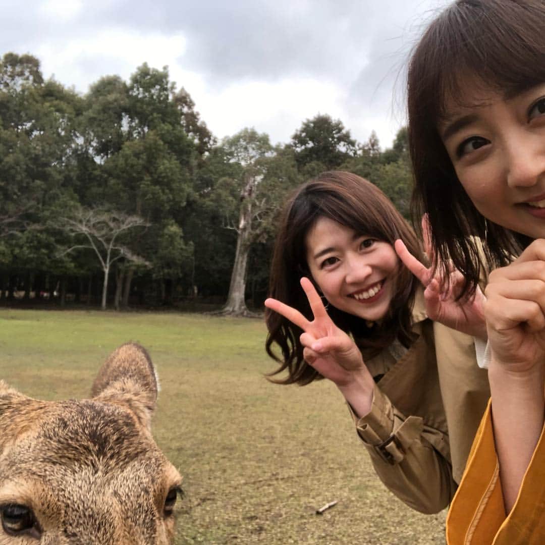 虎谷温子さんのインスタグラム写真 - (虎谷温子Instagram)「また！#川田裕美 さんと「旅ぷら！」に行かせていただきました。14日日曜日10時55分〜です。 #せっかくなので #鹿と記念撮影 #やや腰がひけている…」4月12日 13時13分 - atsukotoraya.ytv