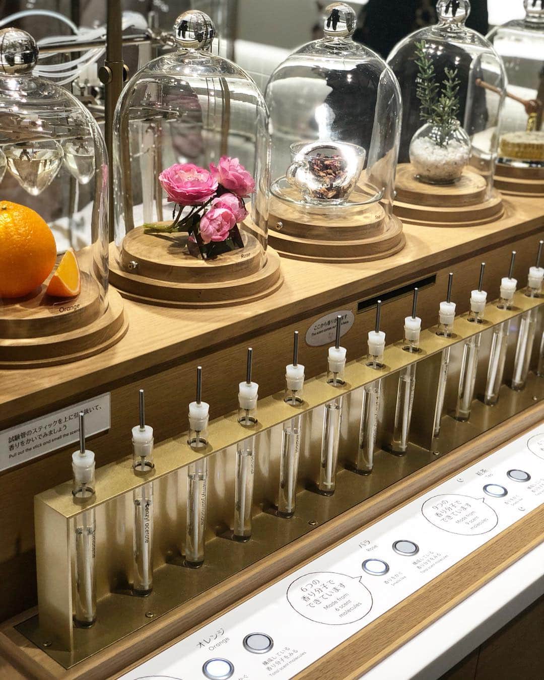 菊原梨華さんのインスタグラム写真 - (菊原梨華Instagram)「・ ・ 4月13日からオープンの 横浜にある資生堂さんのグローバル研究所✦  S/PARK のオープニングセレモニーに参加してきました❤️ ・ SPARK museum では 香りをブレンドして作ったり、 自分の顔を機械がメイクしてくれて見ることができたり👀 ・ 資生堂の商品がたくさん見ることができるよ✨ ・ 健康にいい食べ物に着目した カフェもありましたっ❤️ まさに美が学べる場所だなと☆ ・ 楽しくてずっといられそう💗 また来よっと✨ ・ #Shiseidospark#資生堂#研究所#美容#美#メイク#コスメ#体験#メイク用品#cosmetics #makeup #横浜#新高島#オープニングセレモニー #楽しい#イベント#pic#写真#美容液#化粧水#洗顔#カフェ#健康#素敵#love#followme#follow」4月12日 14時16分 - happyluckyhappy