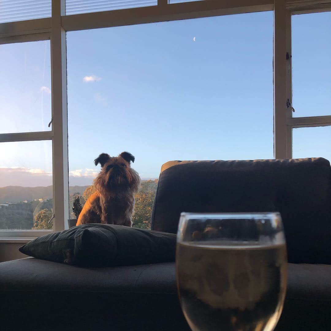 Digby & Aloのインスタグラム：「Kicking off the weekend with style. #friyay #its5oclocksomewhere」