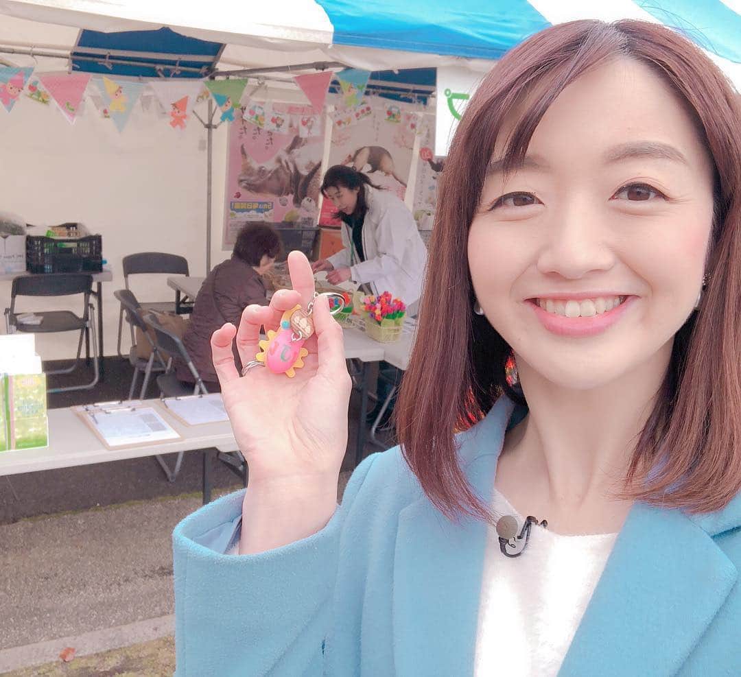 大河原あゆみさんのインスタグラム写真 - (大河原あゆみInstagram)「今日から始まった【よこはま花と緑のスプリングフェア2019】のロケに行ってきました✨ ・ 山下公園&横浜公園は、チューリップをはじめとした色とりどりのお花が見頃を迎えています🌸 ・ ステージイベントや、飲食関連ブース、キッズスペースでの工作体験など✨眺めて、食べて、作って楽しめるこのイベントは14日(日)まで。 ・ JCOM横浜で、本日17:00から詳しくお伝えします🌈✨ ・ ‪アプリでもご覧頂けます １週間のタイムシフトあり→ ‪https://www2.myjcom.jp/special/dolocal/ ・ #jcom #横浜 #ロケ #ワーママ #アナウンサー #1歳ママ #女の子ママ」4月12日 14時39分 - ayumiookawara