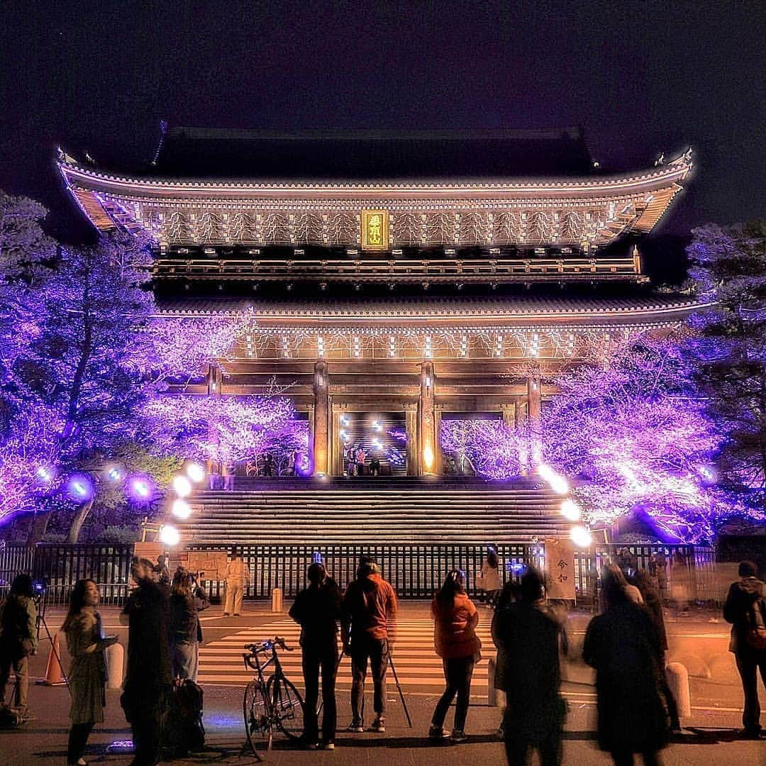 祇園麺処 むらじさんのインスタグラム写真 - (祇園麺処 むらじInstagram)「こんにちは👋😃 清水寺や高台寺など、東山エリアの桜の見頃は 終わりに近づいてきました👀🌸 しかしまだまだ各地のスポットは満開の場所もあるようです☺️今週末が今年最後のお花見日和となりそうですね🌸🌸 こちらのお写真は(@tatikoma1984)さんからお借りしました🙇‍♀️ 知恩院の桜ライトアップきれいですね☺️ . #麺処むらじ祇園本店 #麺処むらじ室町店 #麺処むらじ先斗町店 #ramenmuraji  #ramen  #ラーメン #京都ラーメン #京都観光  #京都麺  #kyoto  #kyotoramen  #京都の桜  #桜ライトアップ  #知恩院」4月12日 14時47分 - ramen_muraji