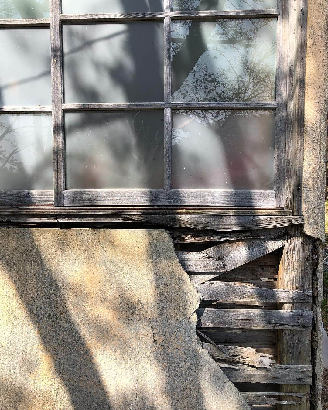 yukaのグルメインスタ