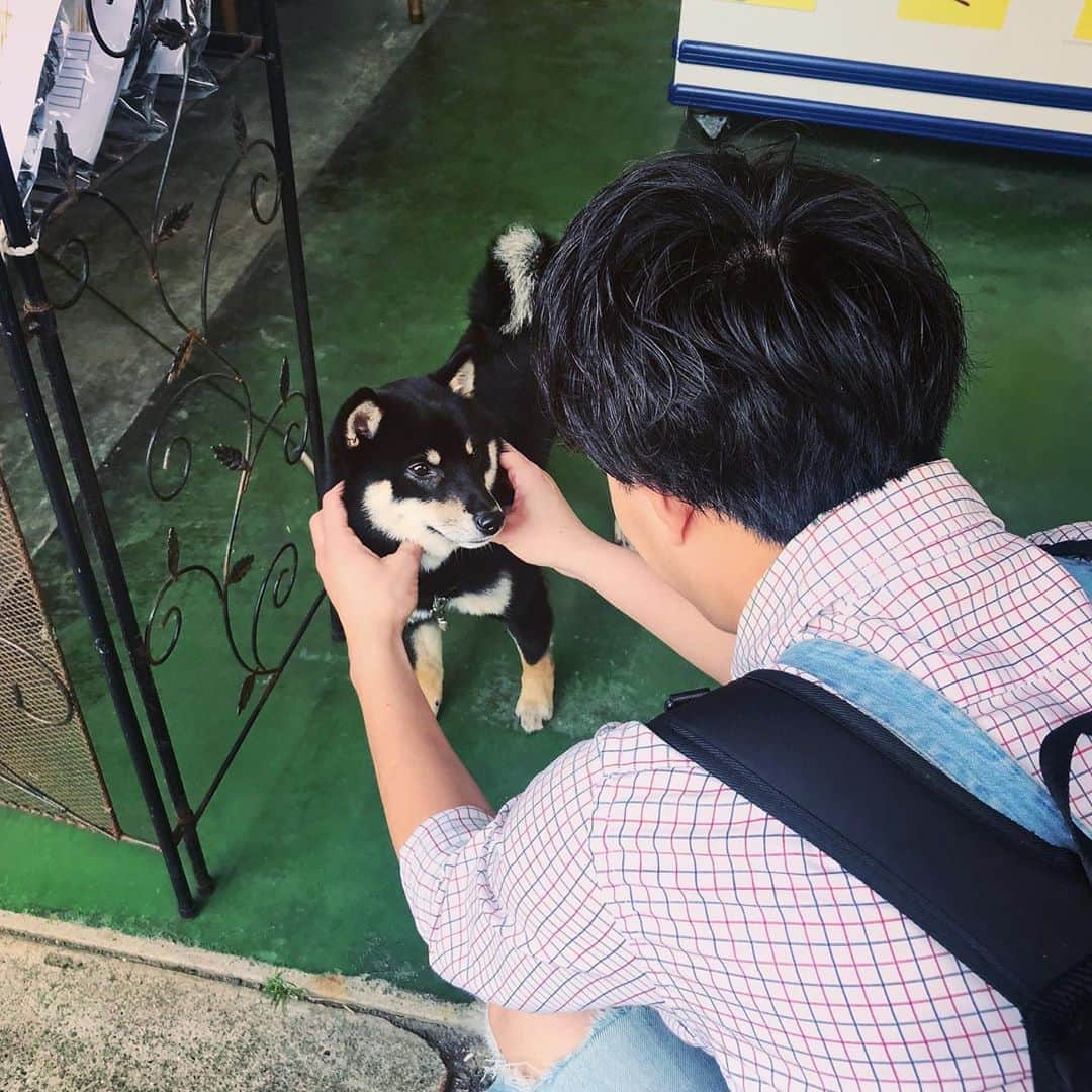 クレヨンだいちゃんのインスタグラム：「🐶🐶🐶 ㅤㅤㅤㅤㅤㅤㅤㅤㅤㅤㅤㅤㅤ 城ヶ島を散歩してきたー😊 ㅤㅤㅤㅤㅤㅤㅤㅤㅤㅤ 周りにも人がいたけど 自分に豆柴がよってきたから めっちゃ嬉しかった😊 ㅤㅤㅤㅤㅤㅤㅤㅤㅤㅤㅤㅤㅤ わんちゃん欲しいなぁ。 ㅤㅤㅤㅤㅤㅤㅤㅤㅤㅤㅤㅤㅤ ㅤㅤㅤㅤㅤㅤㅤㅤㅤㅤㅤㅤㅤ #みさきまぐろきっぷ #城ヶ島 #日帰り旅行 #わんちゃん #豆柴 #癒し #看板犬 #オーバーオール #動物に好かれたいっておもってるタイプの人です」