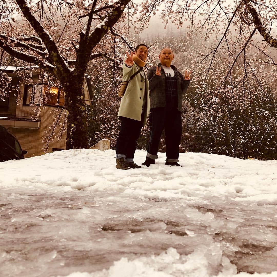 団長安田さんのインスタグラム写真 - (団長安田Instagram)「#雪と桜と団長 #安田大サーカス団長 #団長安田 #クロちゃんは無関心 #雪からつくし #雪と桜とヒロくん #長野放送ロケの休憩中」4月12日 15時08分 - dancyoyasuda