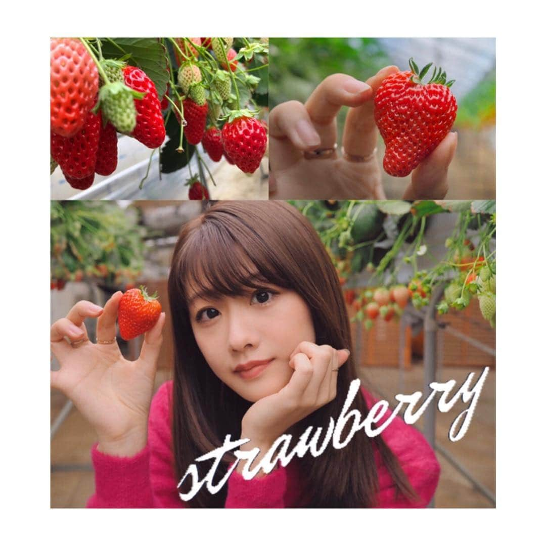 松尾薫さんのインスタグラム写真 - (松尾薫Instagram)「🍓 今年2回目の苺狩り🧸✨ おいCベリーが1番好きでした♥️ ‪  この苺ハートに見えるよね？？♡‬」4月12日 15時21分 - kaoru_matsuo78