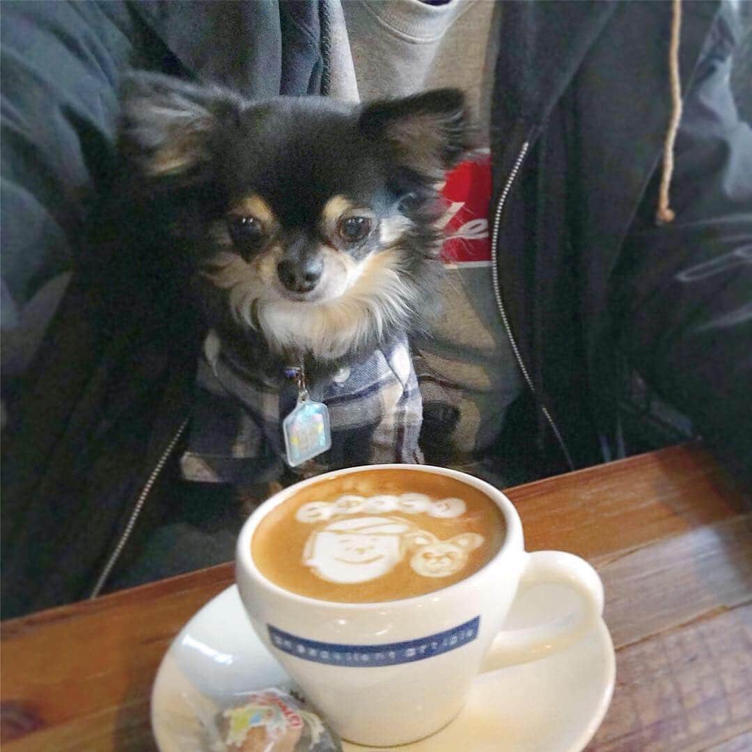 中倉隆道さんのインスタグラム写真 - (中倉隆道Instagram)「. 急いで帰って来てワンコの注射💉 . 狂犬病予防接種頑張ったご褒美！ . アネアカフェ @aneacafe_sangubashi でまったりタイム🐶☺️☕️ . . ワンコとの似顔絵ラテアート描いてくれた😆💕 可愛い！！ . . #アネアカフェ #アネアカフェ参宮橋 #aneacafe #aneacafe参宮橋 #coffee #coffeetime #coffeestand #コーヒー #カフェラテ #帰りの一杯 #フリーアナウンサー #柿ピー研究家 #中倉隆道」4月12日 15時28分 - ryudo.tokyo
