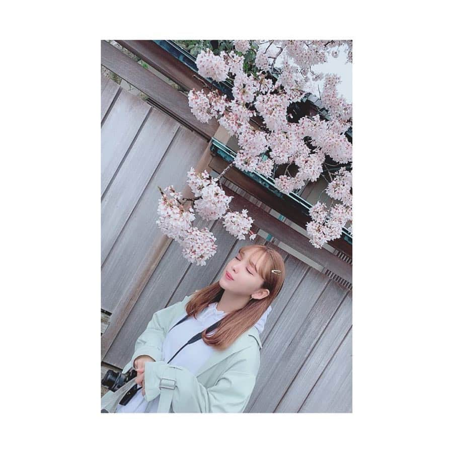 藤田ニコル（にこるん）さんのインスタグラム写真 - (藤田ニコル（にこるん）Instagram)「やっと桜に会えたー！！！🌸」4月12日 15時53分 - 2525nicole2