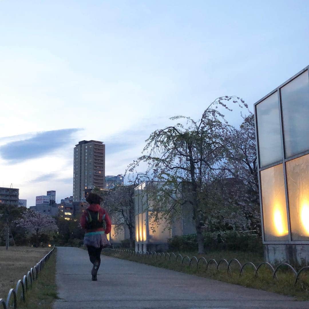 run+さんのインスタグラム写真 - (run+Instagram)「18時 #帰宅ラン こんなに明るい ソメイヨシノの次は #八重桜 が見頃に。 謎の行列  #東京タワー」4月12日 16時04分 - runplus