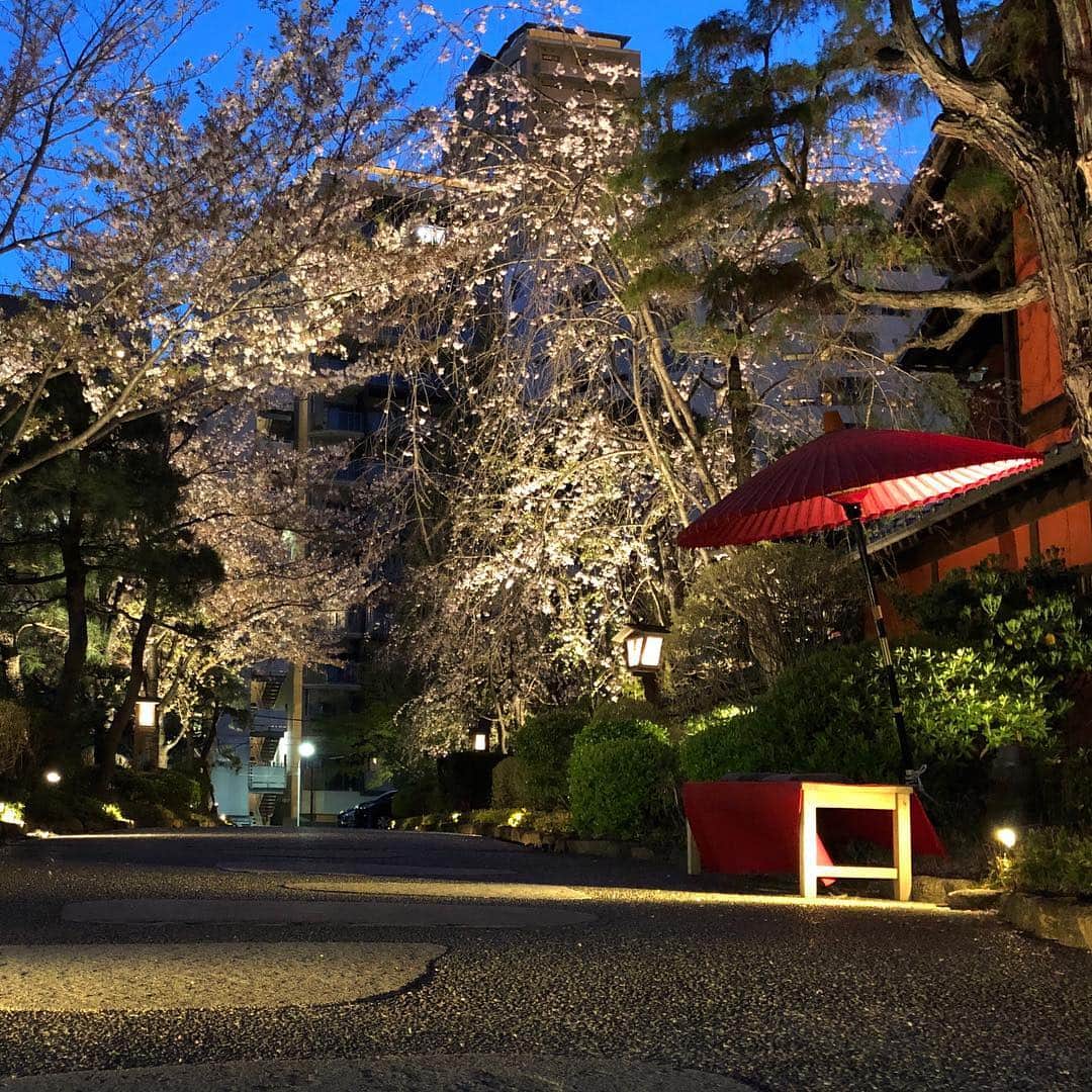 run+さんのインスタグラム写真 - (run+Instagram)「18時 #帰宅ラン こんなに明るい ソメイヨシノの次は #八重桜 が見頃に。 謎の行列  #東京タワー」4月12日 16時04分 - runplus