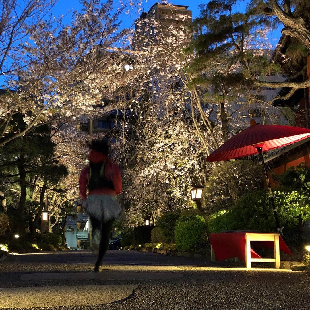 run+さんのインスタグラム写真 - (run+Instagram)「18時 #帰宅ラン こんなに明るい ソメイヨシノの次は #八重桜 が見頃に。 謎の行列  #東京タワー」4月12日 16時04分 - runplus