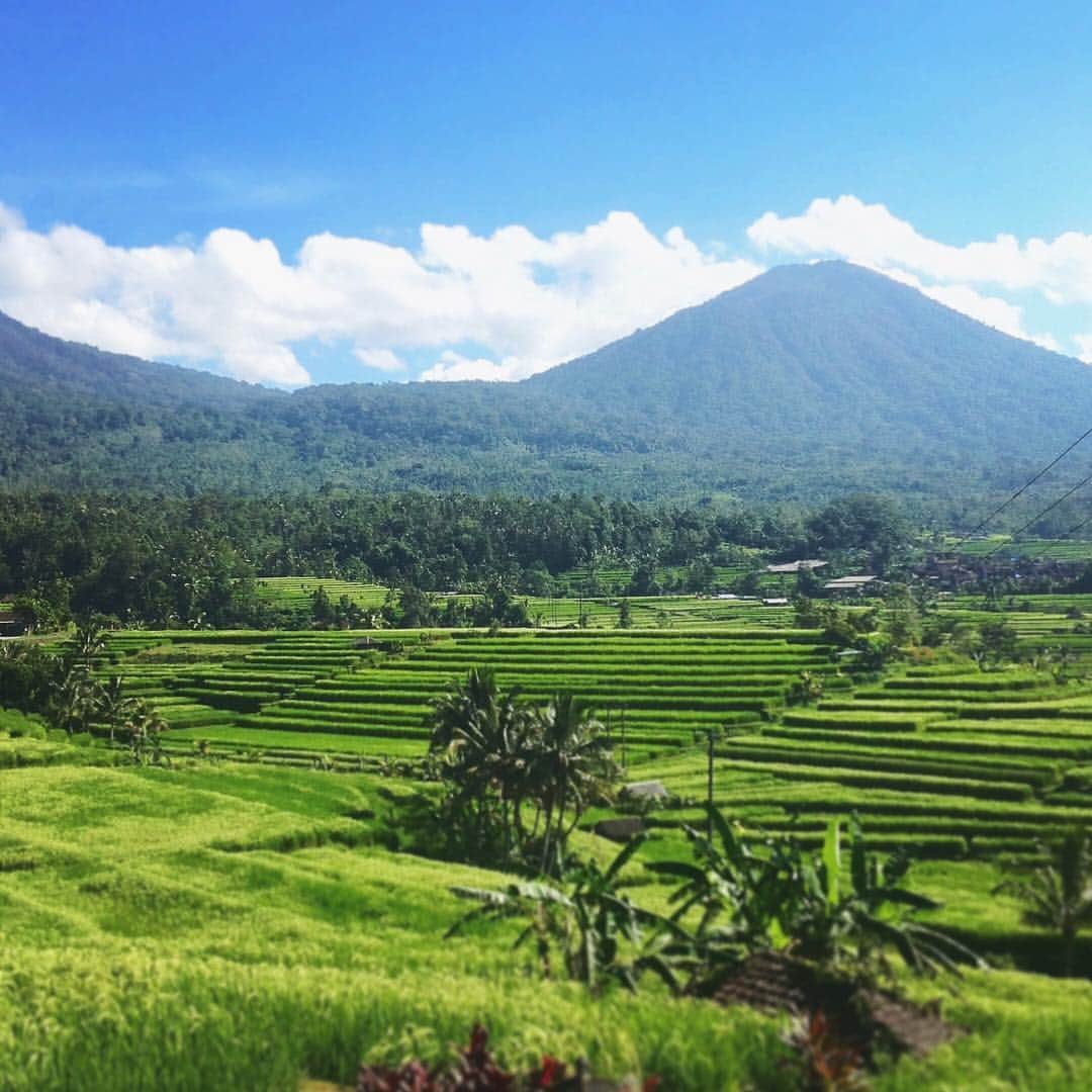 旅行比較サイト・トラベルコ 理想の旅を、いちばん安く。のインスタグラム