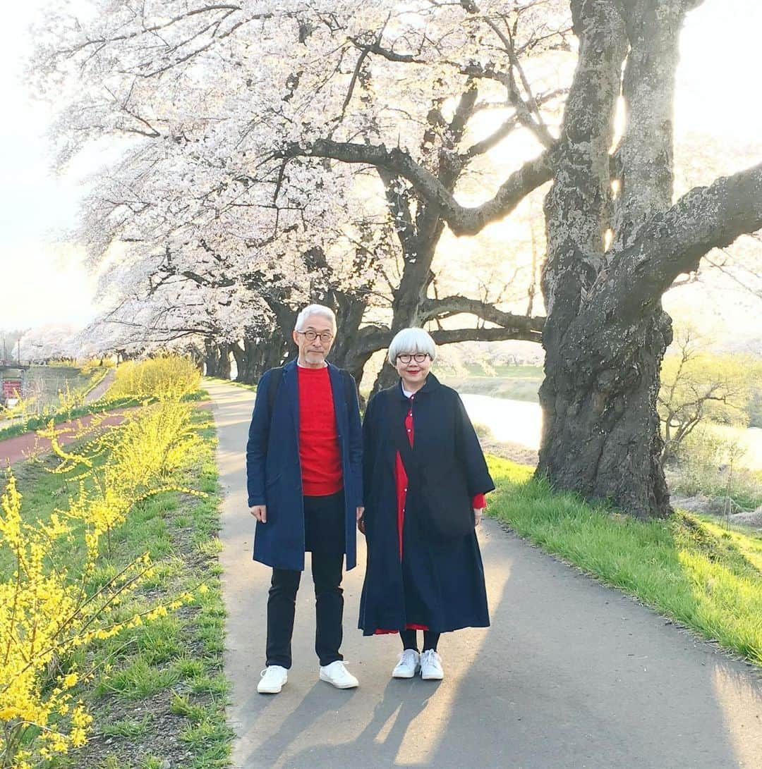 bon ponさんのインスタグラム写真 - (bon ponInstagram)「宮城県柴田郡の桜の名所「一目千本桜」を観に行って来ました🌸🌸🌸 大河原町と柴田町にまたがる白石川の堤に、8kmに渡って約1200本の桜並木が続いている光景は圧巻でした！ 以前取材でお世話になったカメラマンの齋藤太一さんと偶然お会いして、写真を撮っていただきました(1・2枚目) 船岡城址公園では、スロープカーに乗って山頂へ。山頂には高さ24mの船岡平和観音像が立ち、柴田町のシンボルとして町を見守っていました。 多くの方にお声を掛けていただき、とても嬉しくありがたかったです。お会いできた皆さま、ありがとうございました😊😊 ・ #一目千本桜 #船岡城址公園 #桜 #お花見 #大河原町 #柴田町 #夫婦 #60代 #ファッション #コーディネート #リンクコーデ #夫婦コーデ #グレイヘア #白髪 #共白髪 #couple #over60 #fashion #coordinate #instafashion #instagramjapan #greyhair #bonpon511」4月12日 21時48分 - bonpon511