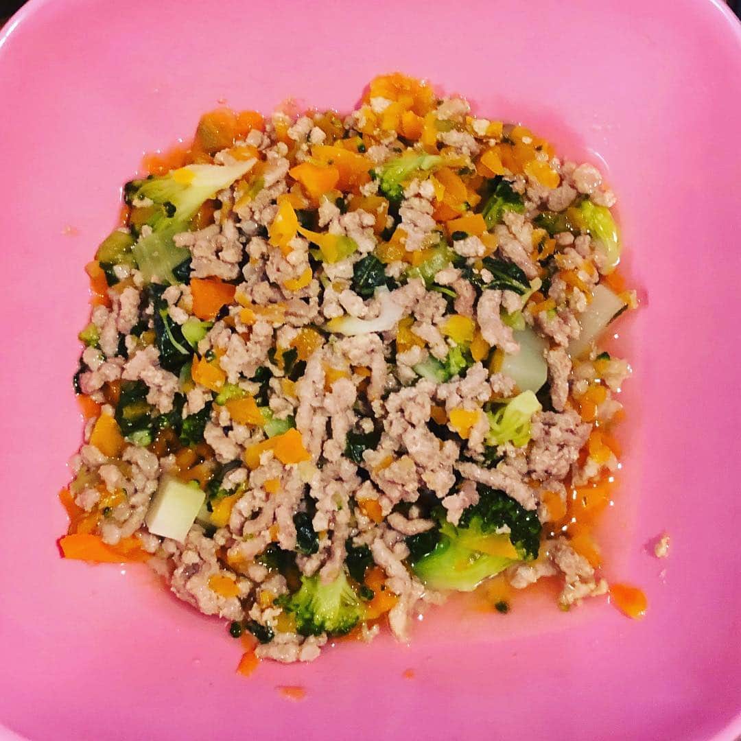 かないみかさんのインスタグラム写真 - (かないみかInstagram)「今日のぷぅのご飯。 豚ひき肉、ブロッコリー、小松菜、にんじん✨ パクパク食べたよ😆 偉いね〜〜💕」4月12日 16時49分 - kanaimika3018