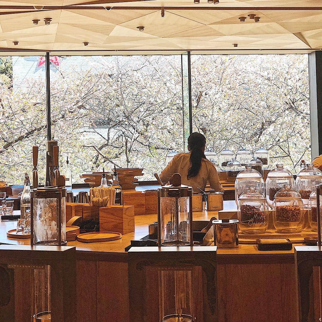 マイプリントさんのインスタグラム写真 - (マイプリントInstagram)「日本初上陸🇯🇵 中目黒で話題の「STARBUCKS RESERVE ROASTERY」 . 世界5つ目となる店舗がこの春、ニューヨーク・上海に続き、 東京の中目黒にオープン！ まだまだ行列のできるほどの人気ぶりですが、店内はまるでテーマパークのよう！ . 今週末は中目黒川沿の桜がギリギリ 見られるかもしれません🌸🌸🌸 お時間がある方はぜひ行かれてみてはいかがでしょうか？😌✨ . . 【本日のカフェ】 STARBUCKS RESERVE ROASTERY 東京都目黒区青葉台２丁目１９−２３ 営業時間：7:00～22:00 _______________________________________ #マイプリント #myprint #ペーパーコンシェルジュ #ペーパーアイテム #招待状 #結婚式準備 #日本中のプレ花嫁さんと繋がりたい #中目黒 #スターバックスリザーブロースタリー #フォトジェニックスポット #フォトジェニック #カフェ #桜 #スターバックス」4月12日 16時49分 - myprint_wedding