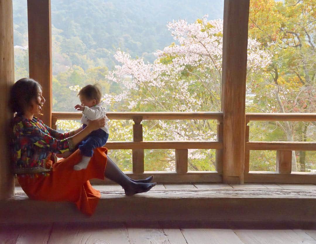 エマ中岡優姫さんのインスタグラム写真 - (エマ中岡優姫Instagram)「宮島にこんな ステキなところがあったのね！  豊国神社✨  この日は暑かったんだけど ここはすごく心地よかった！  抱っこ紐をずっと してたから 息子も一休み♩  #宮島  #豊国神社  #厳島神社  #パワースポット  #男の子ママ  #サニ坊とエママの旅  #エマゆん国内シリーズ  #幸せなひと時  #息子  #桜  #家族旅行  #trip  #広島  #安芸の宮島  #5ヶ月baby  #授乳服  #エママ #ママリ  #miyajima  #hiroshima  #広島  #写真好きな人と繋がりたい  #カメラ好きな人と繋がりたい」4月12日 17時01分 - emma__yun