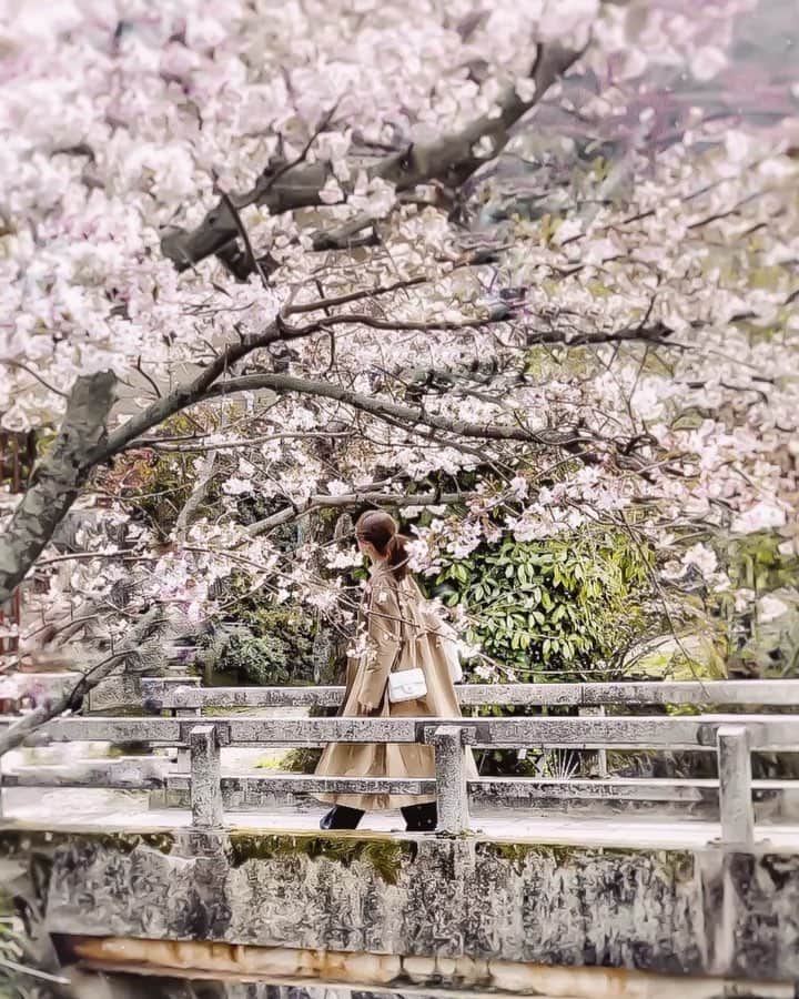 のインスタグラム：「✿𓂂𐬹⁎ . なんとなく寒いのが 春❀︎𓂂𐬹 .  春のコーデは アウターで身を守り アウターを脱いだとき サマになるコーデが◎ ・ ・ そして コーデの下は ひっそり防寒も兼ねて ちゃっかり矯正♡ ゆるっとコーデは 特に身体の引き締めが大切♡ 美容は こっそりが合言葉🙌🏻 今日もおつかれさまでした♡」