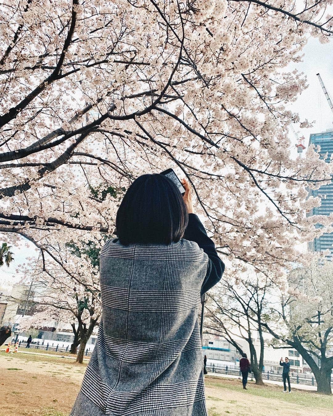 小林玲のインスタグラム：「🌸🌸🌸」
