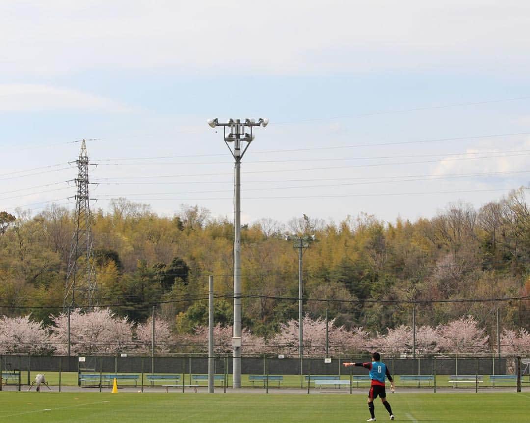 加藤順大さんのインスタグラム写真 - (加藤順大Instagram)「桜が散る前にこんなステキな写真をオフィシャルさんが撮ってくれました！！ ありがとう！！ #桜 #京都サンガ #ナカマー #仲間」4月12日 17時33分 - nobuhiro1