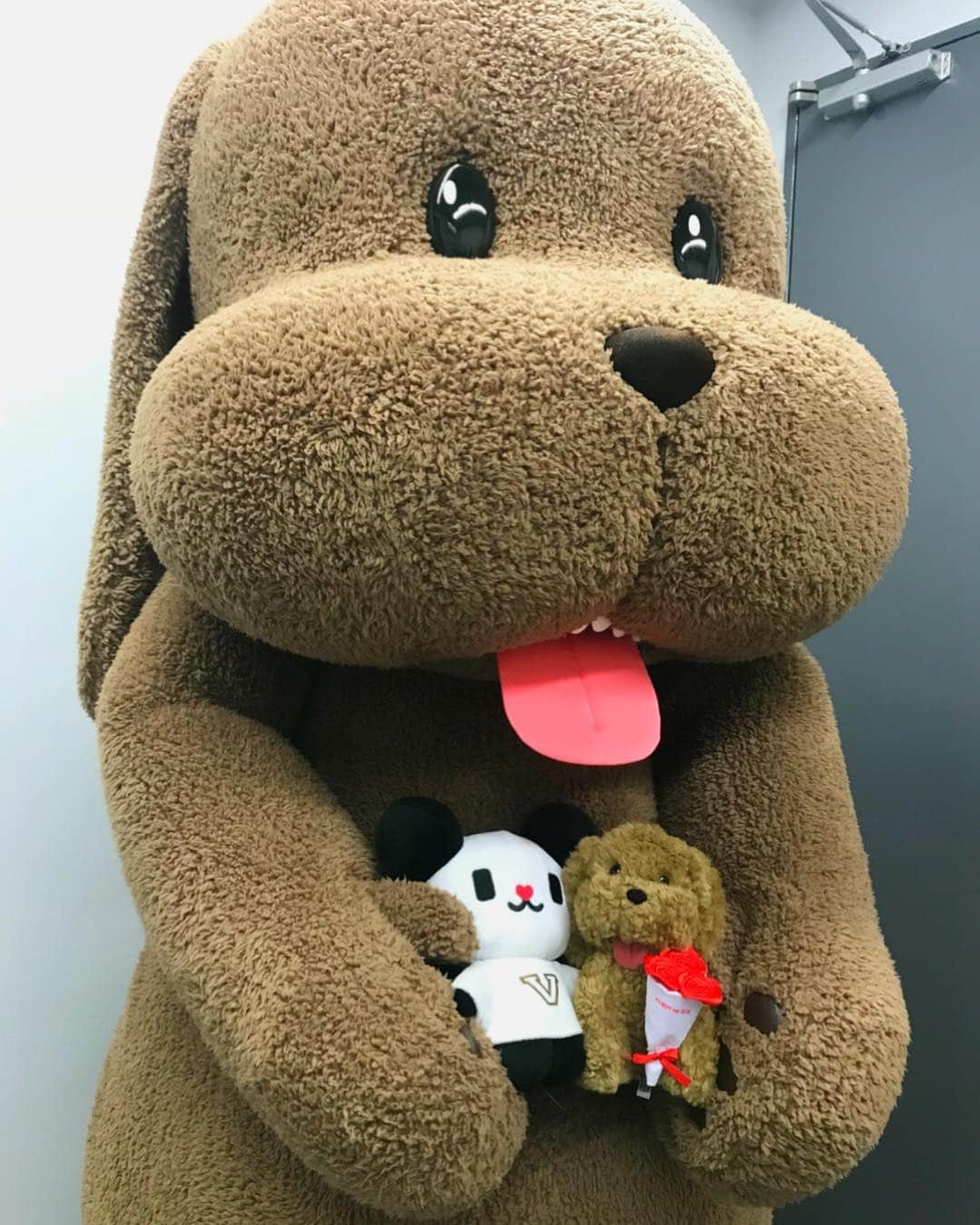 ユーリ!!! on ICEのインスタグラム：「‪【🔥ユーリ!!! on ICE  #国別対抗戦2019 全力応援中🔥】‬ ‪男子フリーは間もなく今夜7時からです‼️‬ ‪※一部地域を除く #tvasahi にて放送です!!!⛸‬ ‪今日もマッカチンを探してくださいね✊🐶‬ ‪#マッカチン発見 ‬ ‪#ゴーちゃん。も発見🐼✨‬ ‪#yurionice‬」