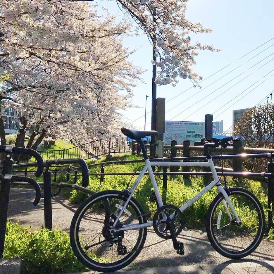 NESTOさんのインスタグラム写真 - (NESTOInstagram)「よく走るミニベロ FROID(フロイド)でお花見サイクリングに出かけました🌸🍡 満開の桜と春の風が最高でした。 . 自転車なのでちょっと一杯は我慢です🍻🙅 . #NESTObikes #ネストのナカ #スタッフのつぶやき #フロイド #FROID」4月12日 17時39分 - nestobikes