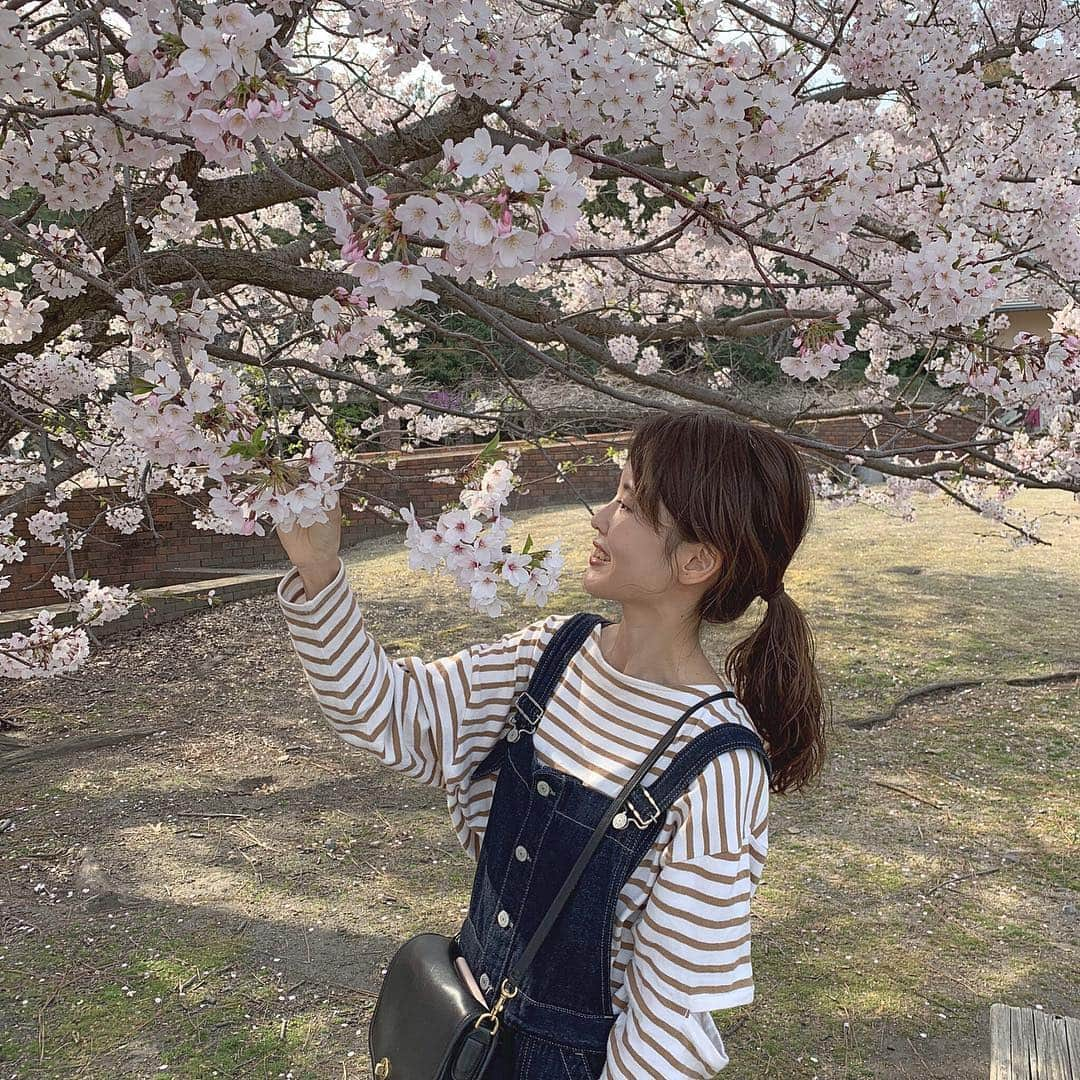 ちょびさんのインスタグラム写真 - (ちょびInstagram)「この間のキレイだった桜🌸 どこのですか？とDMたくさん いただいたのですが、 あの大きな桜の木は広島県大久野島の うさぎ島にありました🐰💕 . #cherryblossom#fashion#ootd#roku#unitedarrows#used#cordinate#spring」4月12日 17時52分 - kaoriririn15