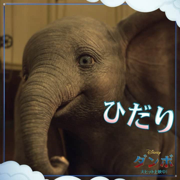 ディズニー・スタジオのインスタグラム