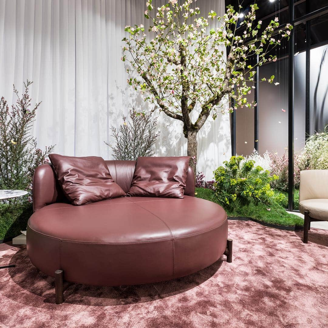 Natuzzi Officialさんのインスタグラム写真 - (Natuzzi OfficialInstagram)「From the various pink shades of almond and peach blossom, @bernhardtvella have created Amalia, a romantic living area with rounded and soft forms.  Discover the collection at our stand! #SaloneDelMobile2019 #MDW #mdw19 #NatuzziMadreTerra #Natuzzi60 #sustainabledesign #Natuzzi #NatuzziItalia #comfort #elegance #design #lifestyle #style #furniture #homefurniture #madeinitaly #living #interiordesign #decor #furnituredesign #homedesign #inspiration #interior #instadesign #designlovers #italianstyle #homedecor #lovedesign #designers #designer」4月12日 18時10分 - natuzzi