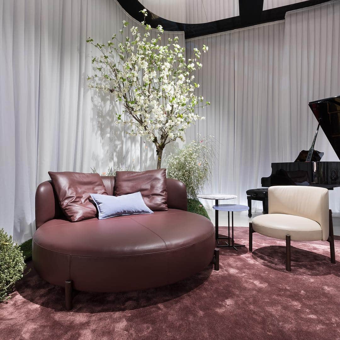 Natuzzi Officialさんのインスタグラム写真 - (Natuzzi OfficialInstagram)「From the various pink shades of almond and peach blossom, @bernhardtvella have created Amalia, a romantic living area with rounded and soft forms.  Discover the collection at our stand! #SaloneDelMobile2019 #MDW #mdw19 #NatuzziMadreTerra #Natuzzi60 #sustainabledesign #Natuzzi #NatuzziItalia #comfort #elegance #design #lifestyle #style #furniture #homefurniture #madeinitaly #living #interiordesign #decor #furnituredesign #homedesign #inspiration #interior #instadesign #designlovers #italianstyle #homedecor #lovedesign #designers #designer」4月12日 18時10分 - natuzzi