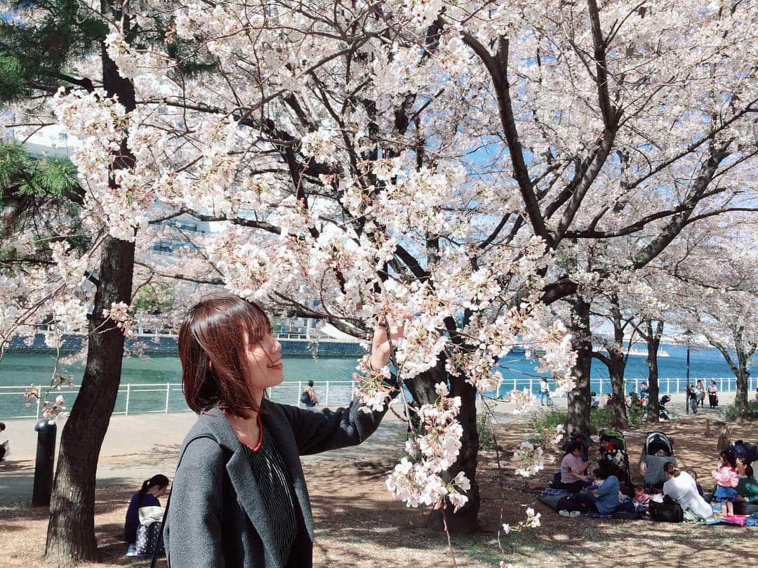 辻詩音さんのインスタグラム写真 - (辻詩音Instagram)「夏が来るまで、春を集める🌸  #cherryblossom #桜  #春あつめ #辻詩音」4月12日 18時12分 - shiontsuji