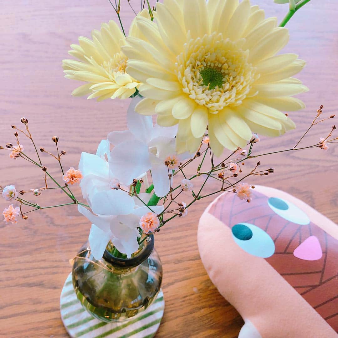 吉河美希のインスタグラム：「Spring🌼ばっしー」
