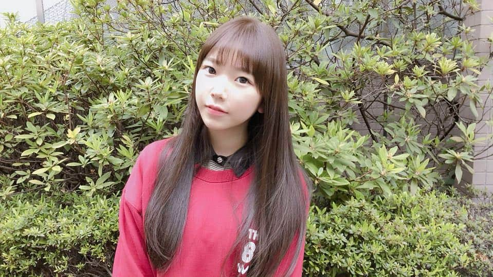 長澤茉里奈さんのインスタグラム写真 - (長澤茉里奈Instagram)「3億年ぶりに髪の毛染めたよぉ🥺 透け感抜け感ロリ感で！！て、なんとも雑なお願いをしたのだけど、こんな素敵な綺麗な色にしてくれた @achfilo_kenta_koyoshi 神様かなぁ🥺🥺❤ ほんとにありがとうございます！！！ トリートメントもしてもらってさらさらで髪の毛も喜んでる🥰🥰❤幸せ🥰🥰 #ロリ感は失いたくない #ツインテールしたいな #垢抜けたい年頃 #透明感欲しい年頃 #渋谷 #アフィーロ #小吉さん神」4月12日 18時28分 - marinanagasawa1008