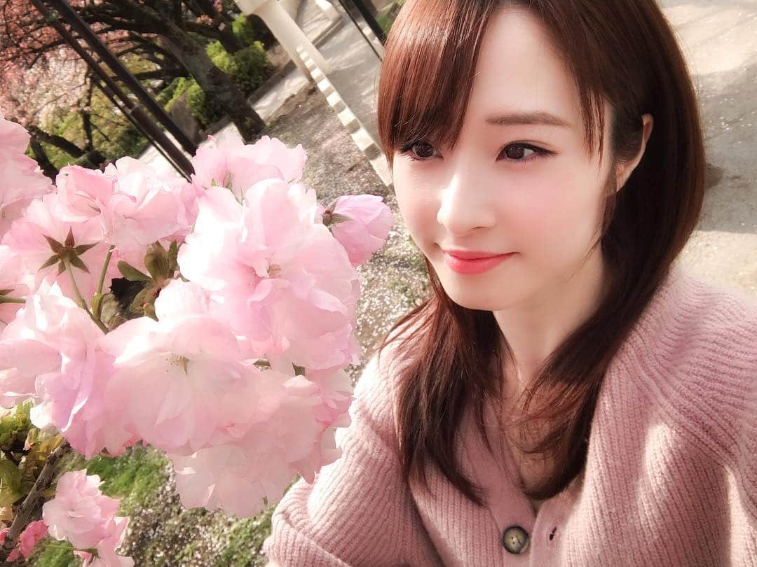 梅本静香さんのインスタグラム写真 - (梅本静香Instagram)「また来年っ🌸﻿ ﻿ #桜 #春 #Spring #お花見 できず」4月12日 18時50分 - shizuka0523xx