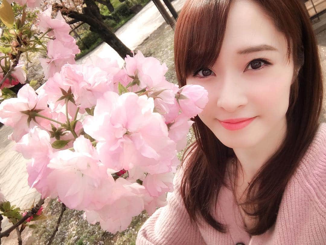 梅本静香のインスタグラム：「また来年っ🌸﻿ ﻿ #桜 #春 #Spring #お花見 できず」