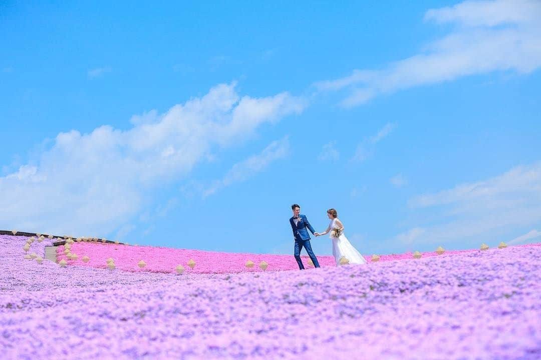 Choole 業界初、オンライン結婚式準備サービスさんのインスタグラム写真 - (Choole 業界初、オンライン結婚式準備サービスInstagram)「ピンクの花絨毯は、ドイツ村の芝桜です🌸⠀ ﻿芝桜は﻿桜よりも寿命が短く、３月下旬〜４月だそう。⠀ 季節感のあるウェディングフォトを撮りたい花嫁さんや、⠀ピンクの花絨毯がいい！という方にはぴったりです！⠀ ﻿こちらのお写真も一枚で華がありますね✨⠀ ⠀ ぜひ参考にしてみてください！⠀ photo by @decollte_weddingphoto⠀ ⠀ Choole（チュール）の公式サイトでは﻿⠀⠀ 会場・ドレス・ヘアメイクなど﻿⠀⠀ たくさんのアイテムをご紹介👗﻿⠀⠀ ﻿⠀⠀ @choole_wedding からHPをチェック✨﻿⠀⠀ ﻿⠀⠀ #花嫁#ウエディング#ウエディングドレス#花嫁準備#ブライダルフォト#プレ花嫁#卒花嫁#卒花#卒花嫁レポ#結婚#結婚式#結婚式準備#ウェディングドレス試着#ブライズメイド #関東花嫁#プレ花嫁準備#花嫁髪型#花絨毯#花嫁ヘア﻿⠀⠀ #オリジナルドレス#オーダーメイド#全国のプレ花嫁さんと繋がりたい #全国のプレ花嫁と繋がりたい#全国のプレ花嫁さんとつながりたい#結婚式二次会#挙式#挙式レポ#ウェディング前撮り#ウェディングフォト#芝桜」4月12日 19時00分 - tokihana_wedding