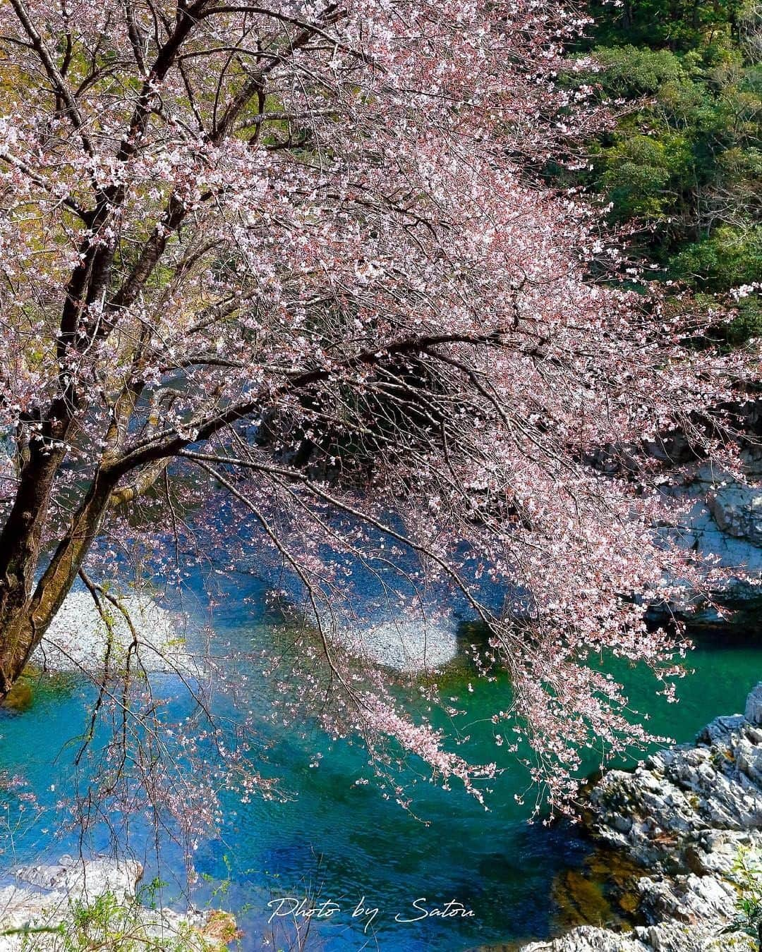 Visit Wakayamaさんのインスタグラム写真 - (Visit WakayamaInstagram)「. Even the locals stop to gaze at the crystal clear water. You can enjoy Kozama cho's multiple sights and activities throughout the year.  #visitwakayama #kozamacho 📸: @yoshiyuki_satou」4月12日 19時00分 - visitwakayama