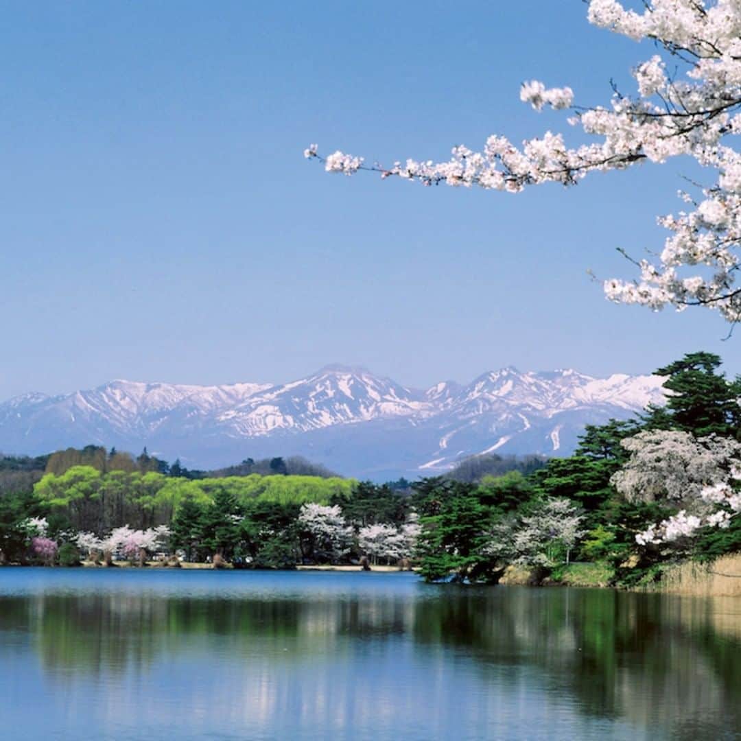福島県さんのインスタグラム写真 - (福島県Instagram)「来て！　南湖公園 「士民共楽」の理念のもと、松平定信が築造した日本最古といわれる公園です。南湖公園は小径に囲まれているので、散歩にもおすすめ。南湖神社や翠楽苑などインスタ映えスポットも盛りだくさんです。  #南湖公園 #桜 #白河市 #南湖 #福島 #ふくしま #ふくしまからはじめよう #来て #fukushima #futurefromfukushima #japantrip #fukushimatrip #art_of_japan #instagramjapan #japan_of_insta #insta_fukushima #special_spot_」4月12日 19時03分 - realize_fukushima