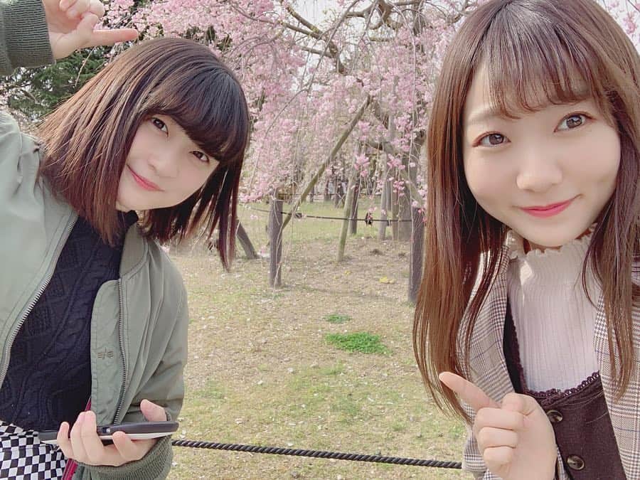 夏川愛実さんのインスタグラム写真 - (夏川愛実Instagram)「ㅤㅤㅤㅤㅤㅤㅤㅤㅤㅤㅤㅤㅤ ㅤㅤㅤㅤㅤㅤㅤㅤㅤㅤㅤㅤㅤ  ゆりあたんとお花見デート🌸💓 やっとお花見できた☺️🕺 ㅤㅤㅤㅤㅤㅤㅤㅤㅤㅤㅤ #お花見#桜#もう#葉桜#鶴舞公園ㅤㅤㅤㅤㅤㅤㅤㅤㅤㅤㅤ ㅤㅤㅤㅤㅤㅤㅤㅤㅤㅤㅤ」4月12日 19時34分 - ami_natsukawa