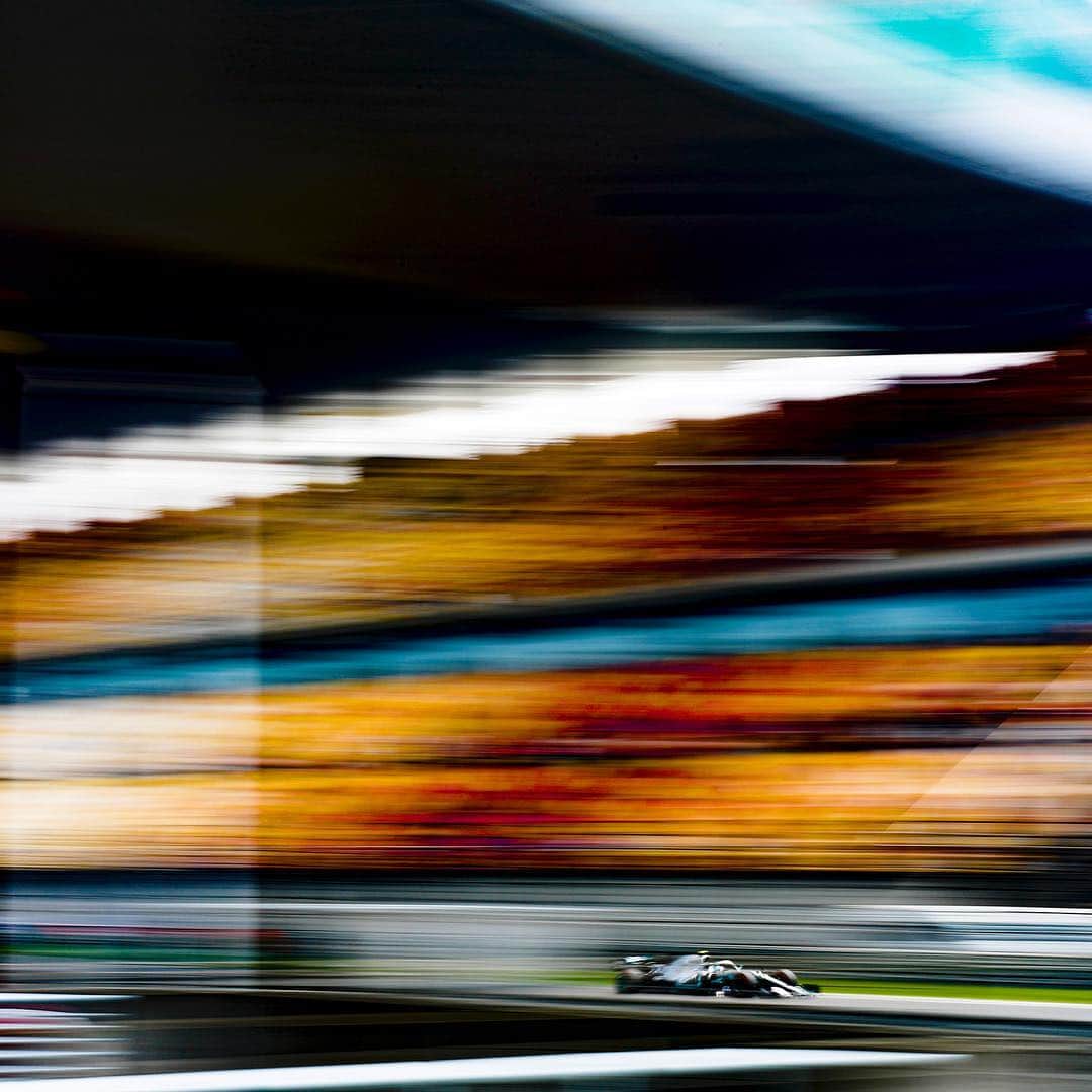 MERCEDES AMG PETRONASさんのインスタグラム写真 - (MERCEDES AMG PETRONASInstagram)「This track though 😍 • • • #MercedesAMF1 #Mercedes #F1 #ChineseGP #Race1000 #PETRONASmotorsports」4月12日 19時35分 - mercedesamgf1