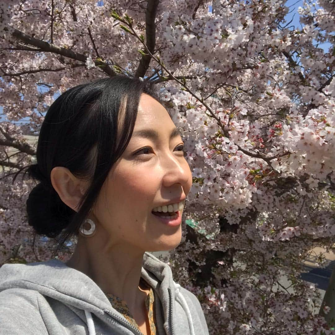 塚田文さんのインスタグラム写真 - (塚田文Instagram)「今回は和歌山県の桜  3月末の開花発表のほぼ直後に岩出市の桜の名所“根来寺(ねごろじ)”へ出かけたものの…早過ぎた😥  全く咲いておらず…根来寺前にある築100年程の古民家カフェ“初花”でお茶をして場を濁す🍵。でもこのままでは帰れないっ！と、和歌山城までひとっ走り🚗💨 夕焼けに照らされる和歌山城と、咲き始めた桜のコラボレーションが見られた✨  それから2週間ほど後、テレビ和歌山出勤前に小さな公園で寄り道。  満開の桜を独り占めして出勤しましたとさ🤗✨ 根来寺の桜…見たかったなぁ😅  #2019年桜 #和歌山県 #岩出市 #根来寺 #和歌山城 #テレビ和歌山 #小さな公園の桜 #滑り台  #japantrip #japantravel #wakayama #iwadecity #negoroji #oldjapanesestylehousecafe  #cherryblossom」4月12日 19時28分 - tsukadaaya1976