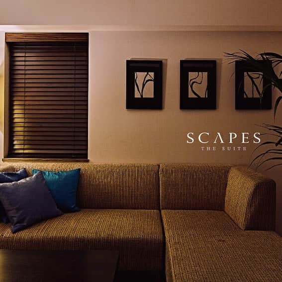 株式会社ポジティブドリームパーソンズのグルメインスタ